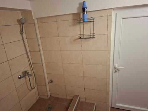 a shower with a blue bottle on top of it at Apartman Pavle 2 in Virpazar