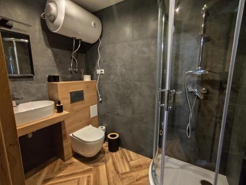 a bathroom with a shower and a toilet and a sink at Osada ŁYSKA in Żywiec