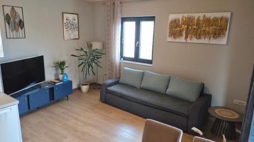 Spacious modern apartment