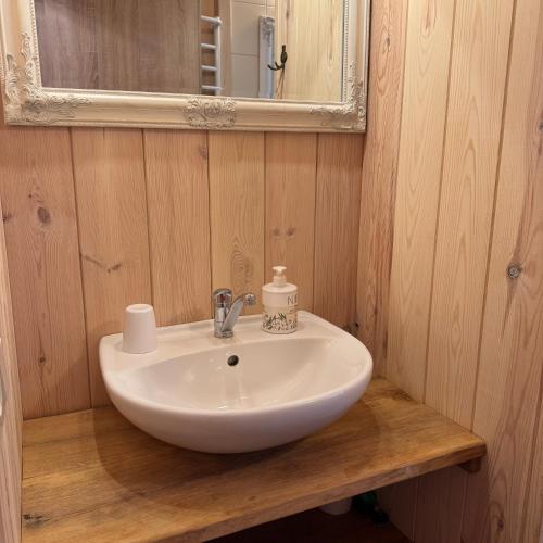 a bathroom with a white sink and a mirror at Namelis Bitidė, sodyba Latkrantė, Druskininkai in Latežeris