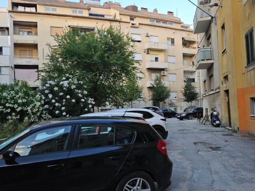 Apartment Ana
