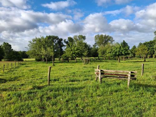 a wooden bench in a field with a fence at YURs in Baexem