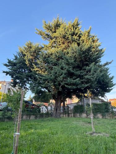 Pical Garden Apartments Poreč