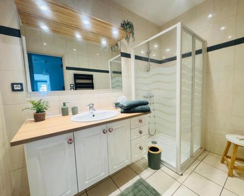 a bathroom with a sink and a shower at Les Terrasses du Vercors in Beauregard-Baret