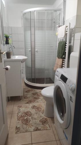 a bathroom with a shower and a toilet and a sink at Napsugár Nyaraló in Tiszaalpár