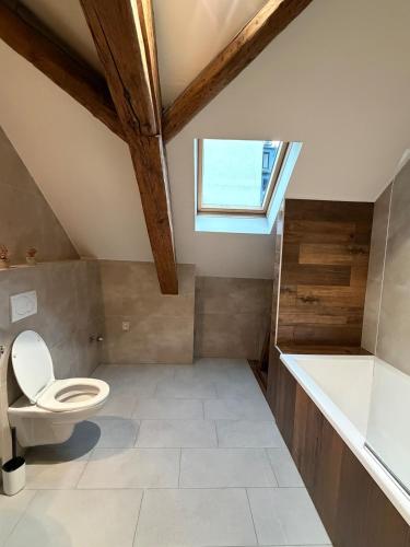 a bathroom with a toilet and a sink and a window at Timber City Loft in Slezská Ostrava