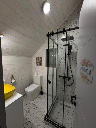a bathroom with a glass shower and a toilet at Yellow House Natakhtari in Mtskheta
