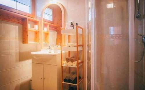 a bathroom with a shower and a sink and a shower at Chata Reľov in Reľov