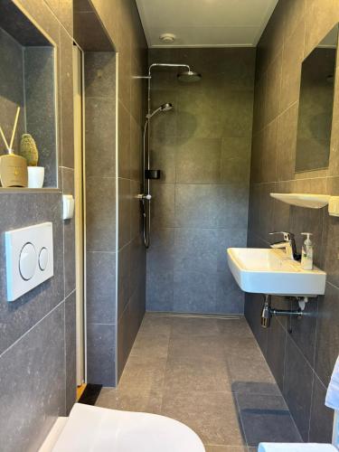 a bathroom with a sink and a shower at Recreatieappartement BoerdeRijlst - De Winkel in Sint Nicolaasga