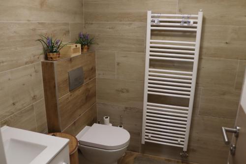 a bathroom with a toilet and a sink at Bjelašnica Escape in Bjelašnica