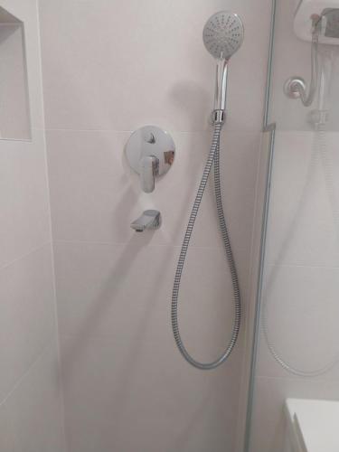 a shower with a shower head in a bathroom at Mala kuća Divna in Brela