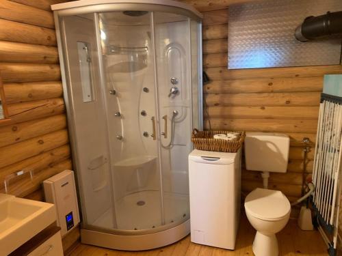 a bathroom with a shower and a toilet at Vacations for a good cause in Drochtersen