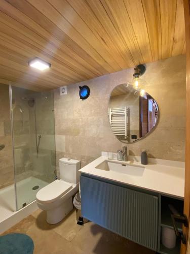 a bathroom with a sink and a toilet and a mirror at Tiny Under Chalet in Santiago