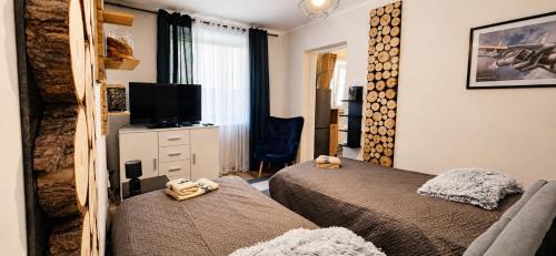 a bedroom with two beds and a tv and a couch at RosalieRose Cozy Corner in Radom