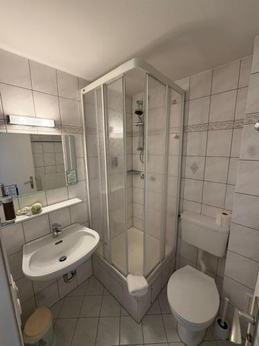 a bathroom with a shower and a toilet and a sink at Wald Hotel in Kirschweiler