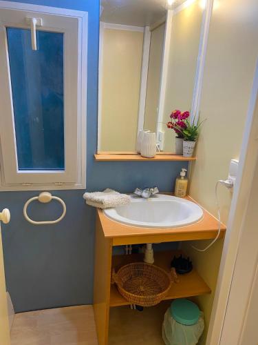 a bathroom with a sink and a mirror at Little house paradise in Sant Pau dʼOrdal