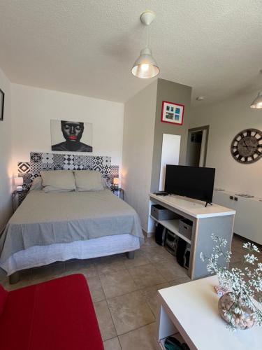 a bedroom with a bed and a flat screen tv at Studio en plein cœur de Saint Florent in Saint-Florent