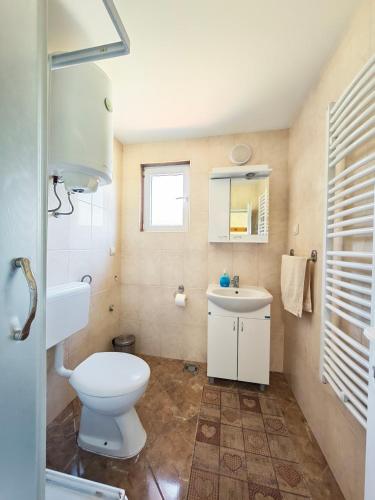 a bathroom with a white toilet and a sink at Vila Petar Mokra Gora in Mokra Gora
