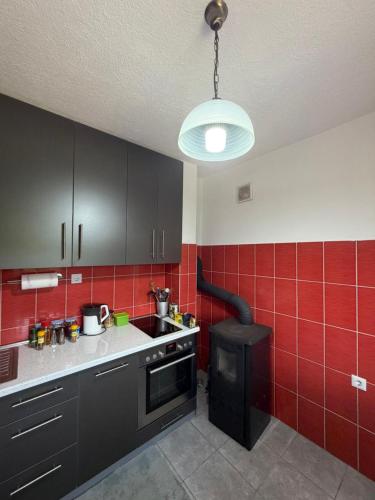 a kitchen with a black stove and red tiles at Vikendica BeeLux in Banja Luka