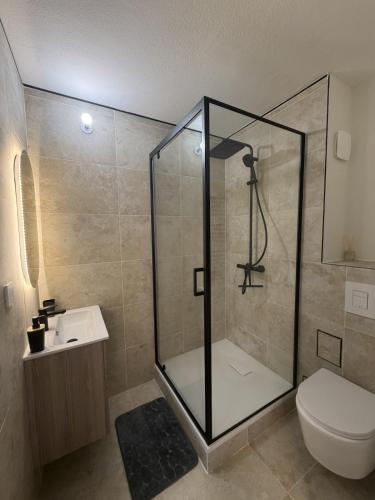a bathroom with a shower and a toilet and a sink at Saint-Pierre Studio in Avignon