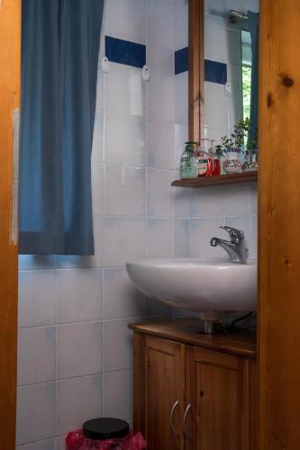 a bathroom with a sink and a mirror at Naturidyll Lavantall in Lading