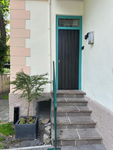 a house with a door and a tree on the steps at City Center Rooms in Mayrhofen