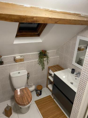 a bathroom with a toilet and a sink at Villa des marots in Troyes