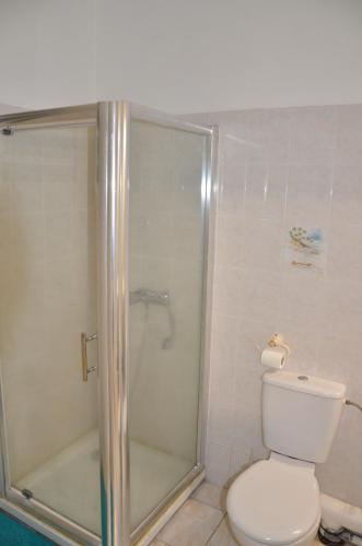 a bathroom with a shower and a toilet and a shower at La suite Corossol in Gros-Morne