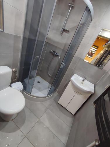 a bathroom with a shower and a toilet and a sink at Domek Nad Morzem in Kołobrzeg