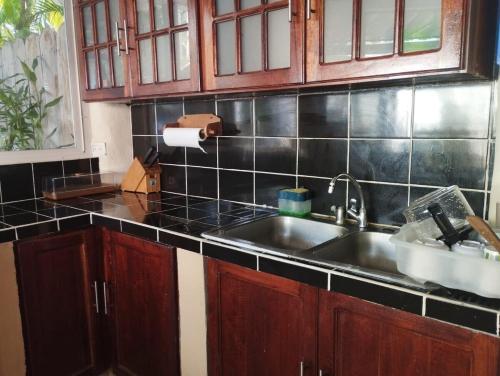 a kitchen with a sink and wooden cabinets at Enjoy Cabo del Sol Costa del Sol in El Zapote
