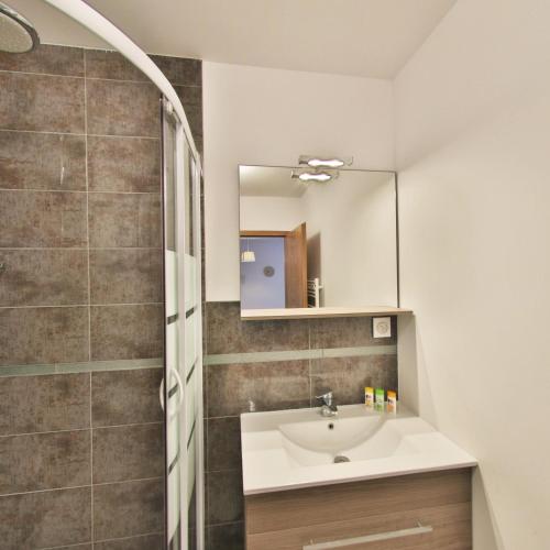 a bathroom with a sink and a mirror at Résidence les Cèdres in Strasbourg