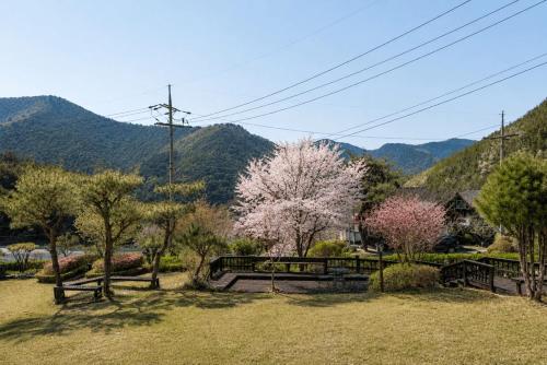 a yard with trees and mountains in the background at Pyeongchang Estrella Pension in Pyeongchang