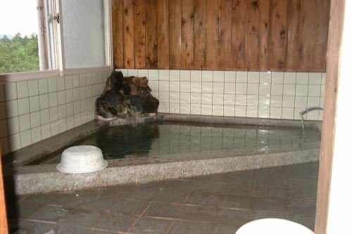 uma piscina de água com um cão sentado na banheira em Lodge Amenouo em Myoko