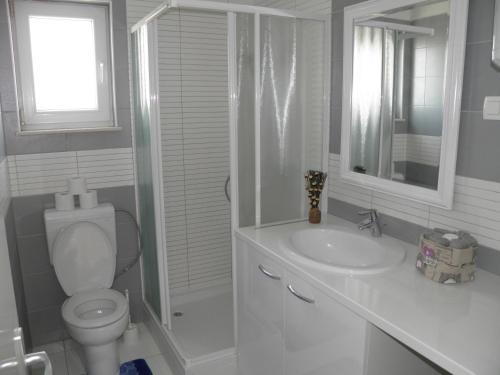 een witte badkamer met een toilet en een wastafel bij Apartments Perla in Dinjiška