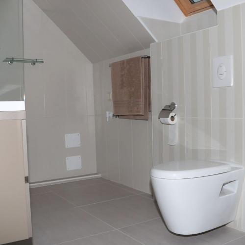 a white bathroom with a toilet and a sink at Viktória Vendégház in Eplény