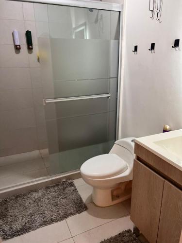 a bathroom with a shower and a toilet and a sink at Apartment luxury and comfort in Monterrey