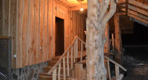a staircase in a log cabin with a tree at Bilovoddya Hotel in Sil'