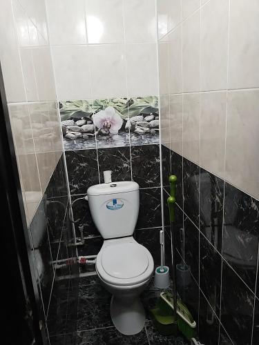 a bathroom with a toilet and a picture on the wall at ИП Саялы in Balqash