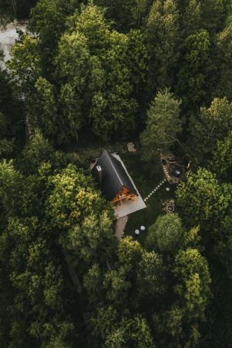 an overhead view of a house in the middle of a forest at Chata Szyszka in Męcina Mała