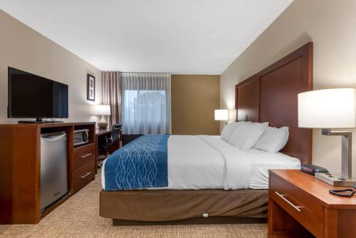 a hotel room with a bed and a flat screen tv at Comfort Inn Binghamton I-81 in Binghamton