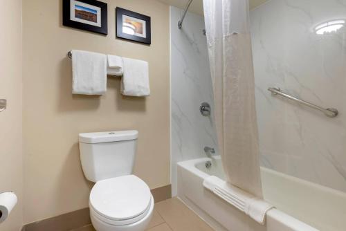 a bathroom with a white toilet and a shower at Comfort Inn Binghamton I-81 in Binghamton