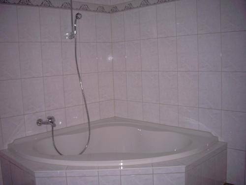 a bath tub with a shower in a bathroom at Apartment OG 2 in Peine