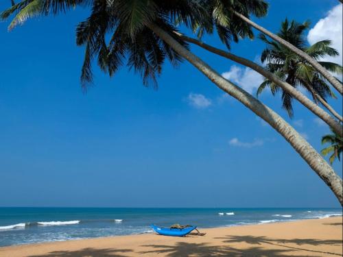 a blue boat on a beach with palm trees at Gedara Villa in Kalutara