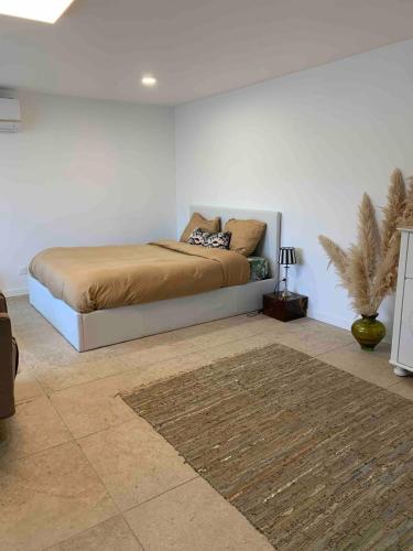 a bedroom with a bed in a white room at Maison privée spacieuse avec piscine chauffée pour 8 personnes in Joué-lès-Tours