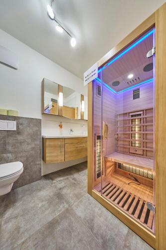 a bathroom with a shower and a toilet at Apartment Alpenstyle Ennstal in Aich