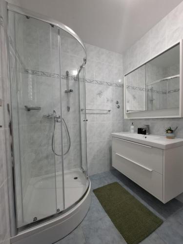 a bathroom with a shower and a toilet and a sink at Apartments Maskovic Karbuni in Prizba