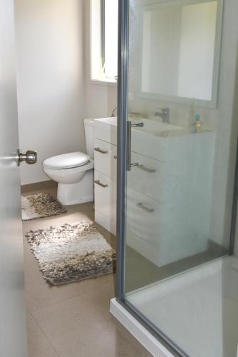 a bathroom with a toilet and a sink and a shower at Whangapoua waves in Whangapoua