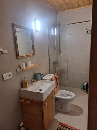 a bathroom with a toilet and a sink and a shower at Traditional GuestHouse Permet in Përmet