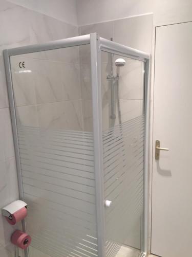 a shower with a glass door in a bathroom at Appartement Euromed - Les Docks in Marseille