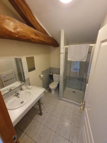 a bathroom with a sink and a shower and a toilet at La Grange Fleurie in Tramayes